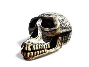 Exposición Retrospectiva - Jorge Cordero